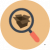 identification
