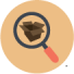 identification