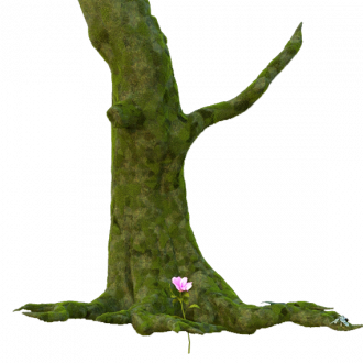 tree-e1596449152268